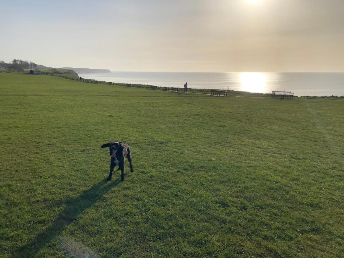 Dalis Den Lodge Bridlington Eksteriør bilde